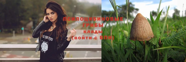 гидропоника Абаза