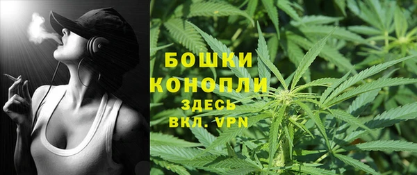 гидропоника Абаза