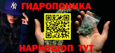 СК Пугачёв