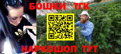 СК Пугачёв