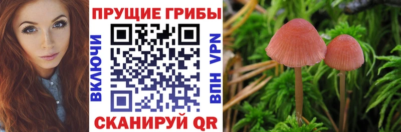 Галлюциногенные грибы Magic Shrooms  купить закладку  Уфа 