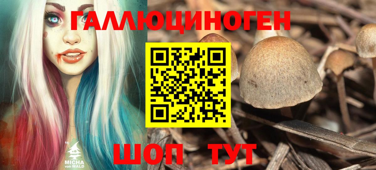 Псилоцибиновые грибы мухоморы Уфа